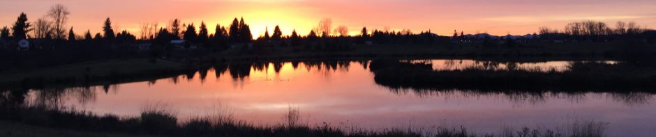 Golden Gardens Habitat Guardians